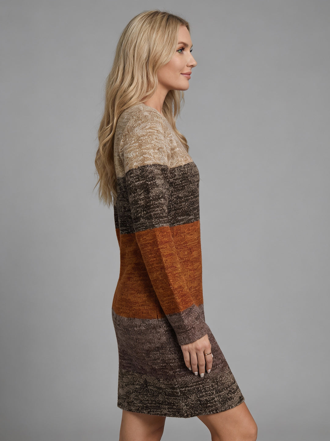 Karen | Colorblock Winter Dress